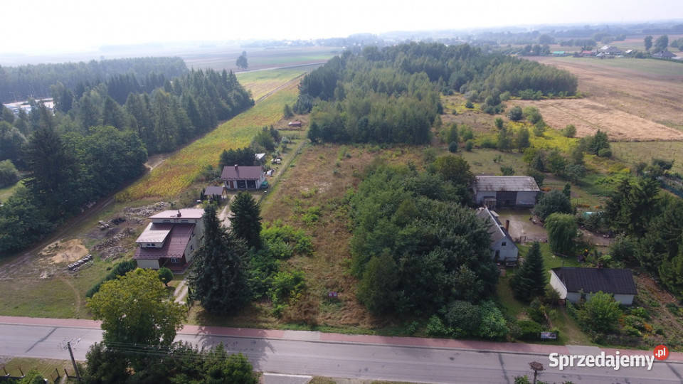 Działka Dąbrowica Ludwin 105 ar media Sprzedaż Dąbrowa