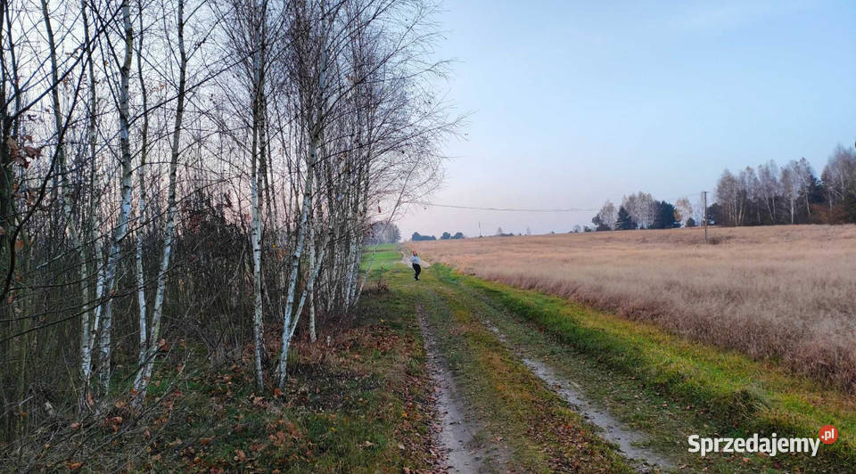 działka budowlana grodzisko gm żytno pow łódzkie