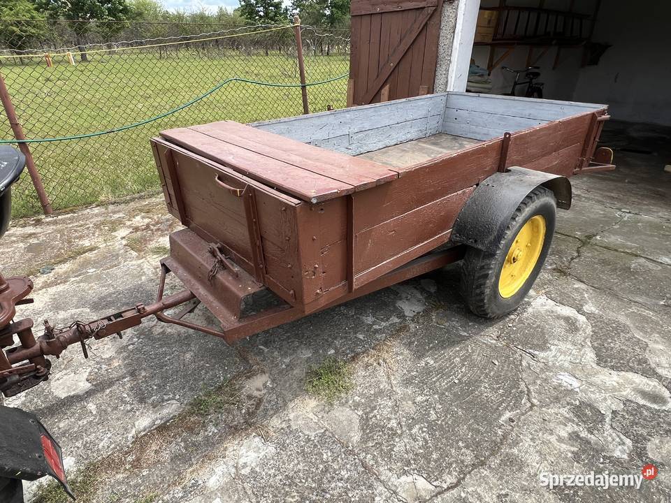 CIAGNICZEK DZIK 21 nieuszkodzony Chynów