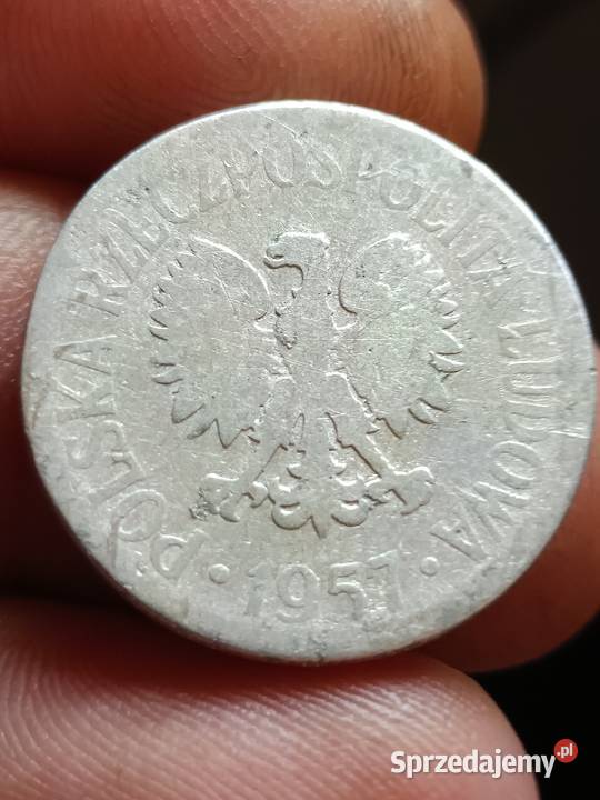 Sprzedam monetę 50 groszy 1957 mała skrętka jjjj Chełm