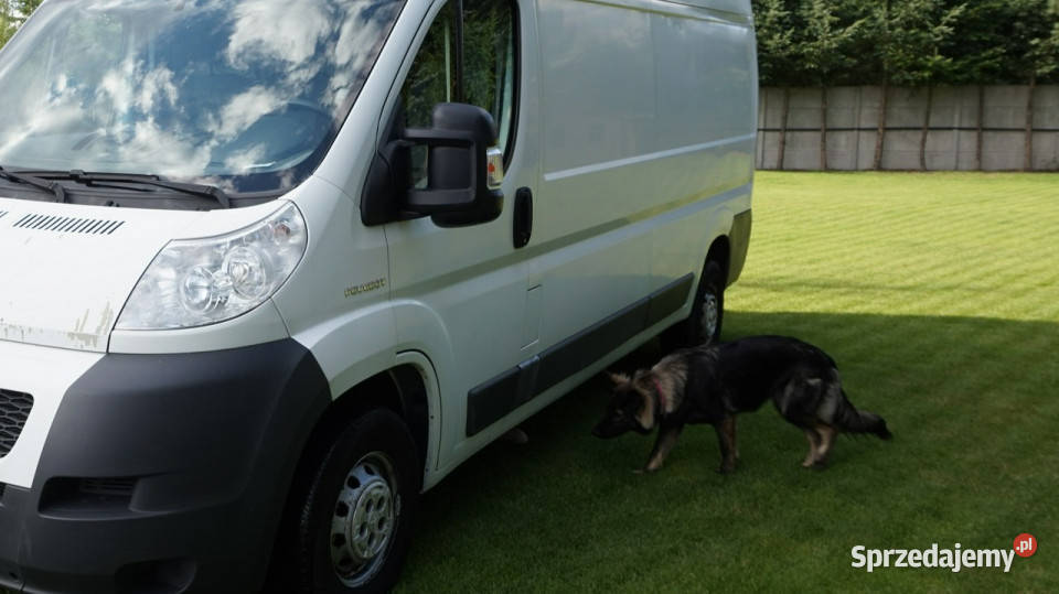 Peugeot Boxer Polski salon Faktura Vat Gwarancja lubuskie