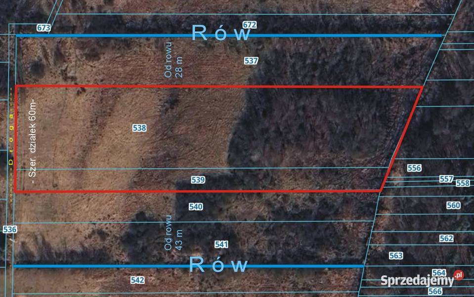 Łąka z laskiem Tyśmienica Babianka 128ha 12800m2 lubelskie