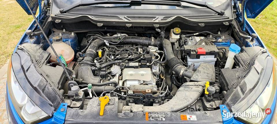 Ford Ecosport NOWY typ silnika USA Automat Błaszki