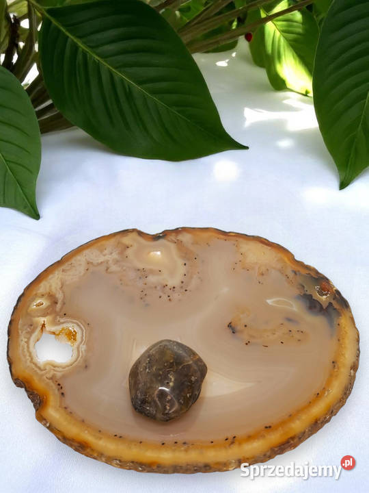 Magnes z bursztynu BURSZTYN bałtycki 969 Warszawa