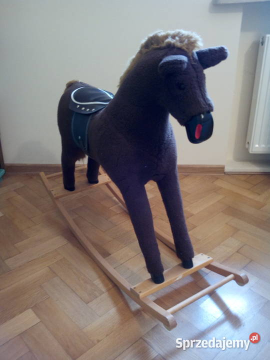 Konik na biegunach Lublin