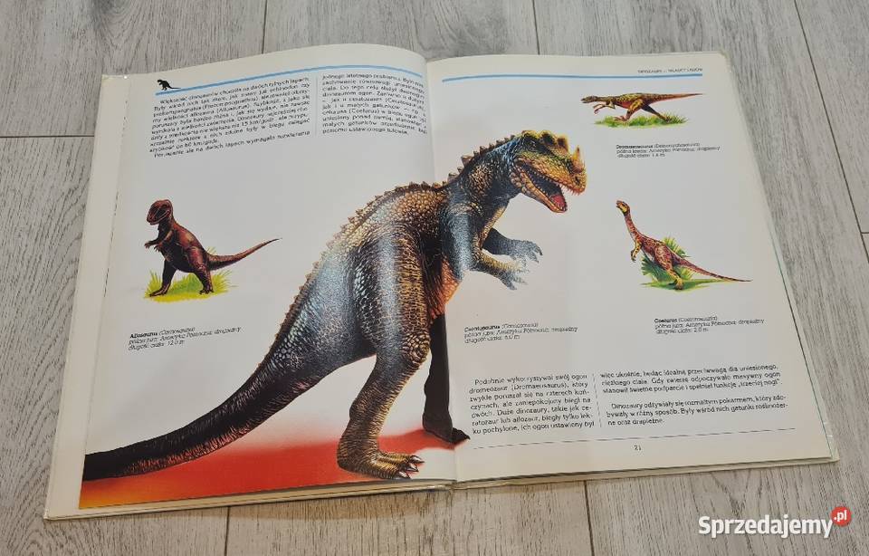 Książka Dinozaury władcy ziemi ISBN 8370831273 Łódź sprzedam