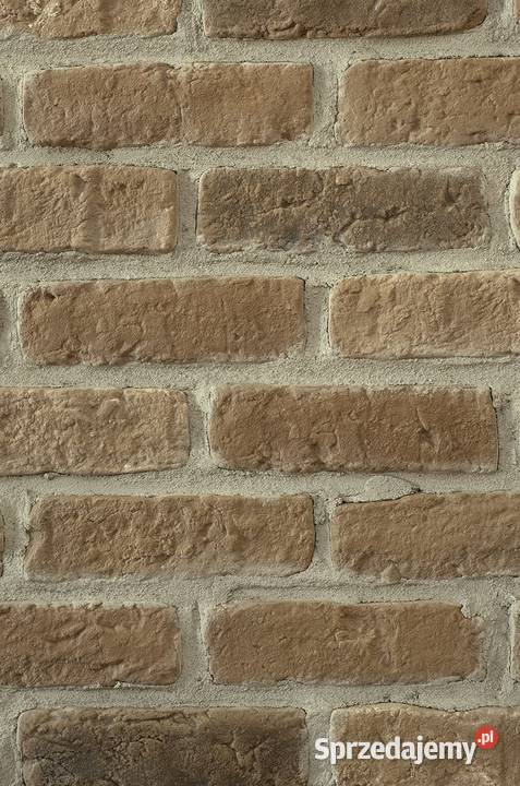 Płytki ceglane Średniowieczne 0510 Warszawa