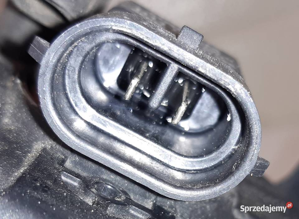 HALOGEN PRAWY PRZÓD AUDI A4 B7 A3 8P 8E0941700C halogeny Mielęcin