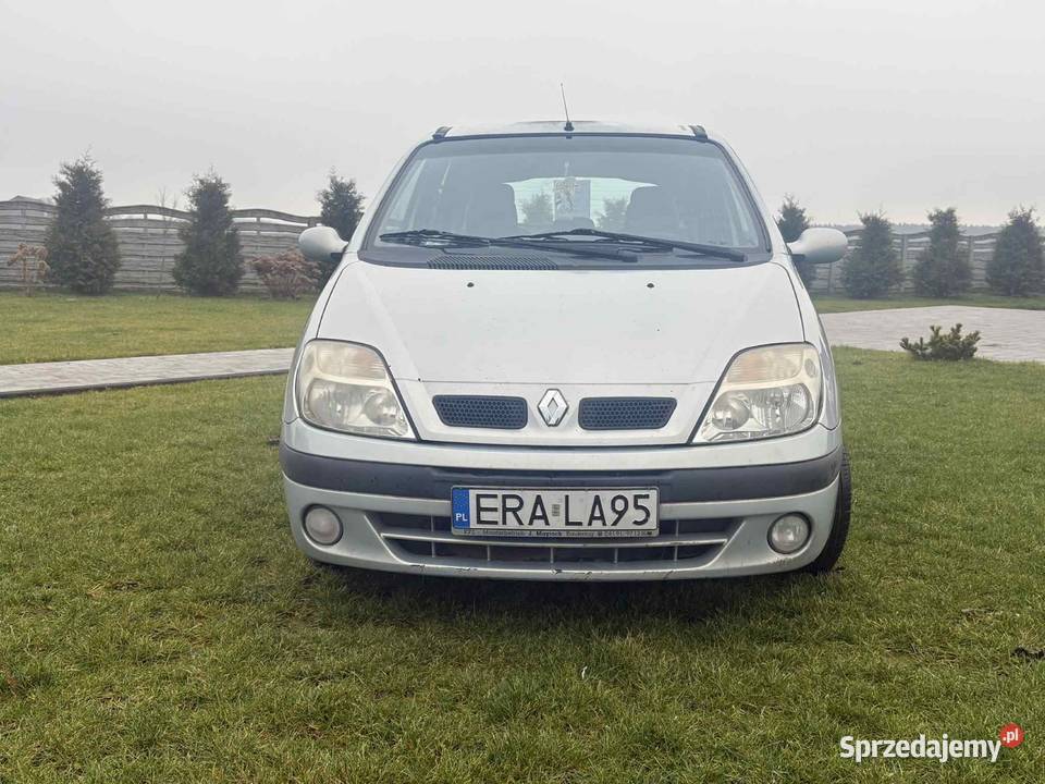 Renault Scenic 4/5 Wielgomłyny