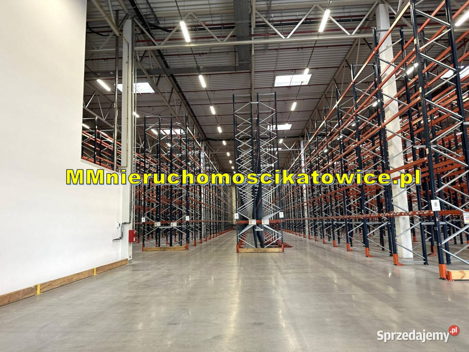 Halae do wynajęcia Katowice A4 parking