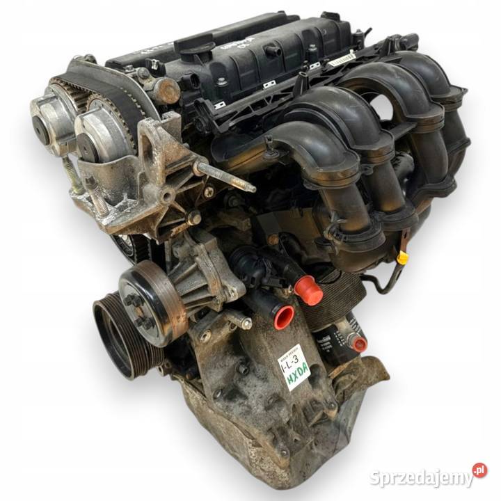 SILNIK HXDA Ford Focus II MK2 C C 16 16V Ti HXDB Chełm
