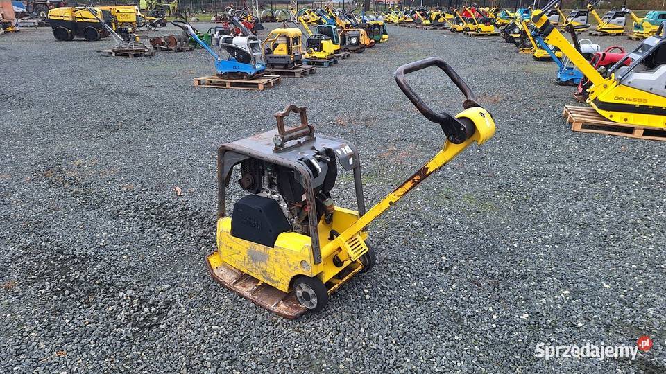 2017 Zagęszczarka Płyta Ubijak WACKER NEUSON DPU Pozostałe Trzebnica