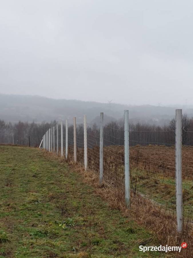 Słupki ogrodzeniowe plastikowe 250 Tuchów