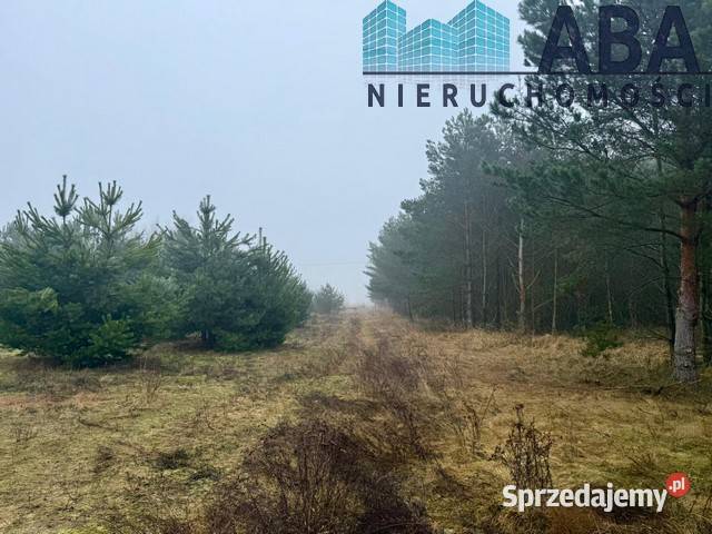 Działka na sprzedaż w Skulsku budowlana Sprzedaż Skulsk