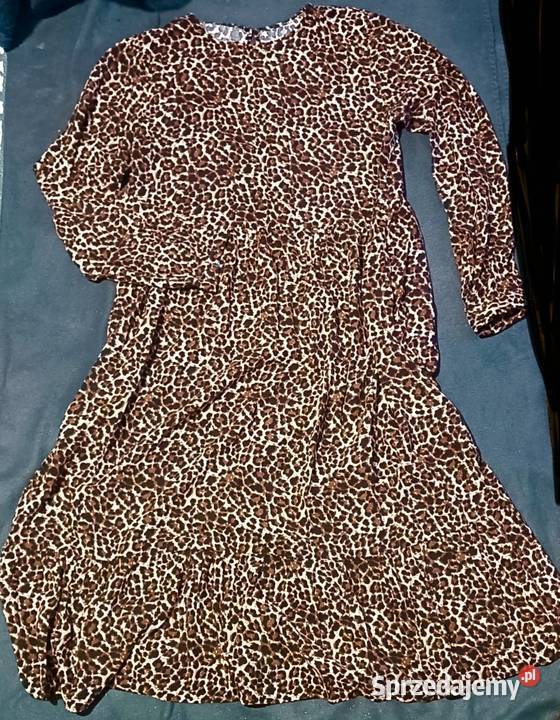Sukienka w panterkę Toruń sprzedam