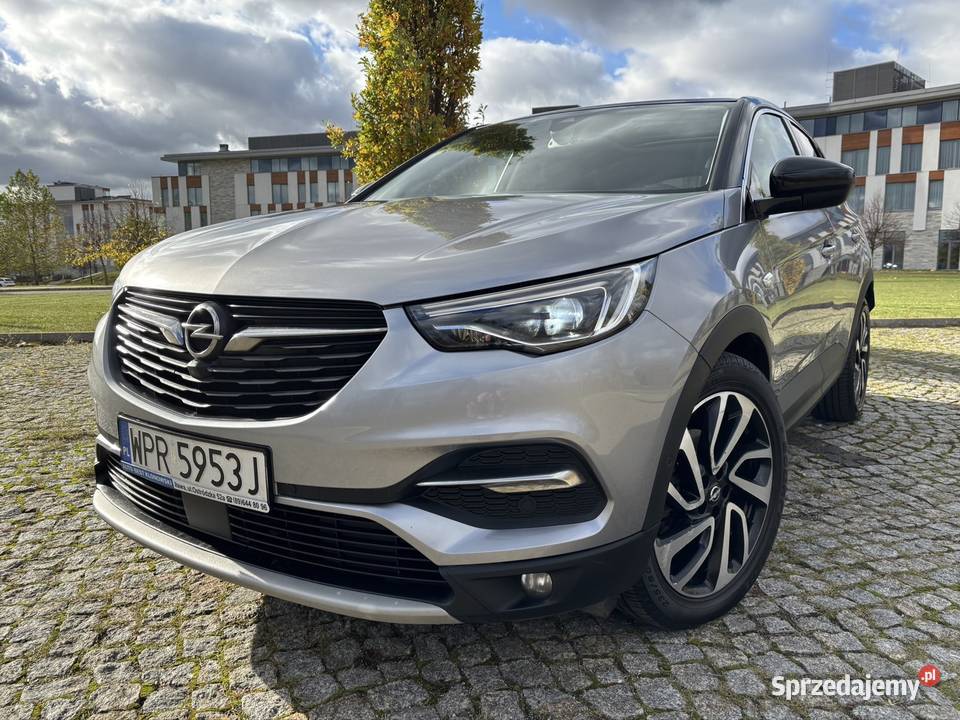 Opel Grandland X 20 177 Automat Salon Stan gniazdo AUX Iława