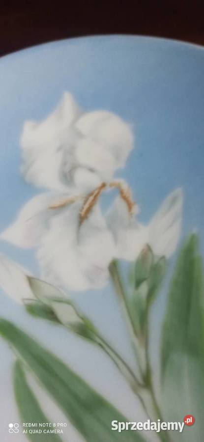 Talerz Rosenthal Sevres Sygnał Thomas Syg z Antyki, Sztuka, Kolekcje Gdańsk