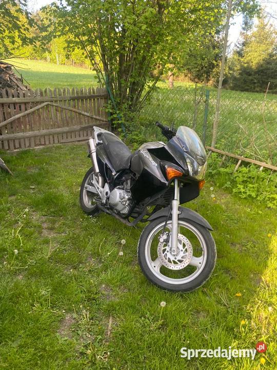Honda Varadero 125 Adamów