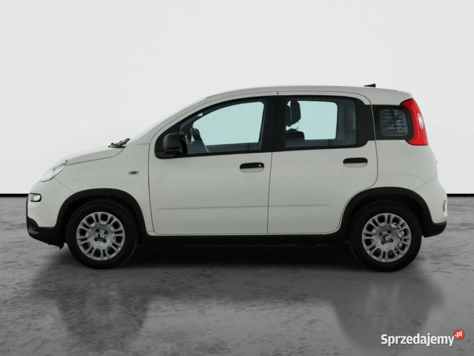 Fiat Panda 10 FireFly Hatchback Katowice