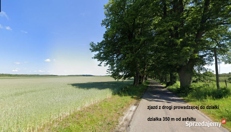 Pojezierze Drawskie war zab Nosibądy