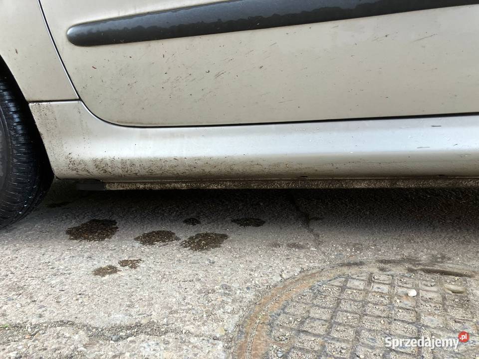 Syndyk sprzeda Peugeot 206XT 14 2004 benzyna Wałbrzych