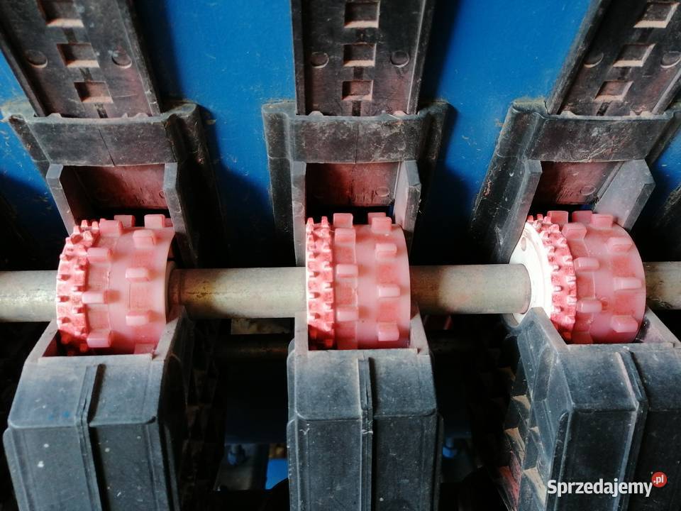 Siewnik Poznaniak Kozłówka