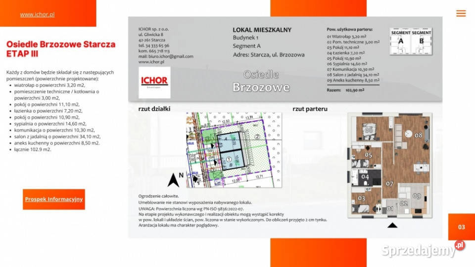 Dom Starcza Brzozowa 30 ICHOR Deweloper