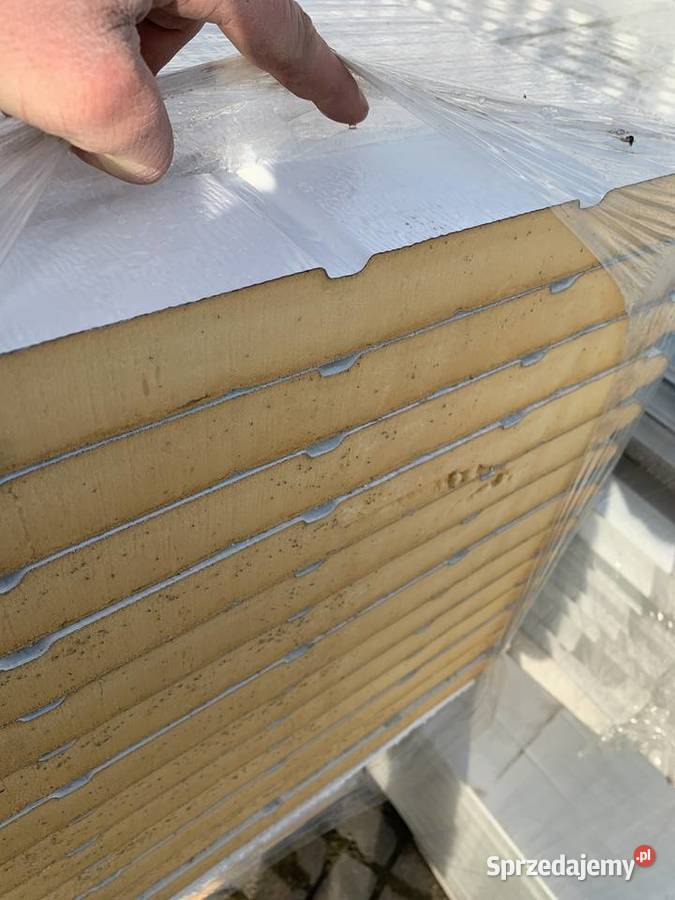 Panel bramy segmentowej BIAŁY Gatunek 1 001 Kielce