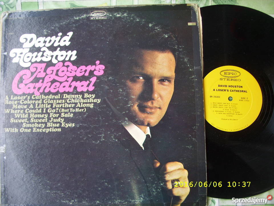 Country LP DAVID HOUSTONA LOSERS CATHEDRAL USA Płyty i kasety Wołów