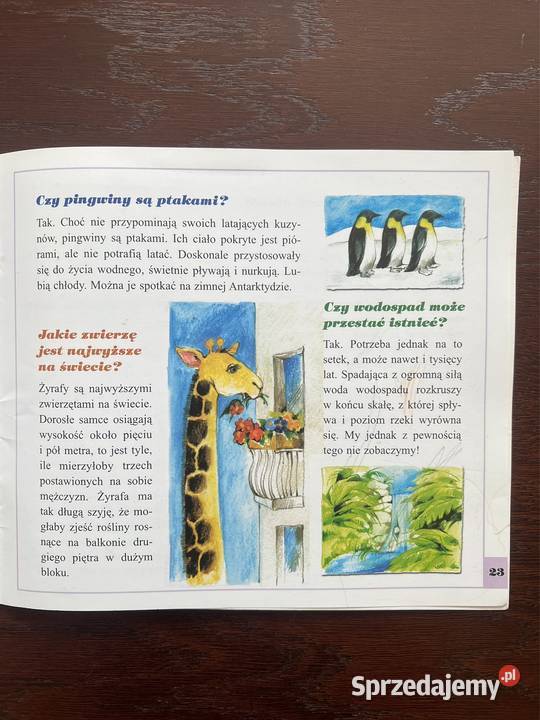 Dlaczego nie o jest niebieskie Książka dzieci Częstochowa