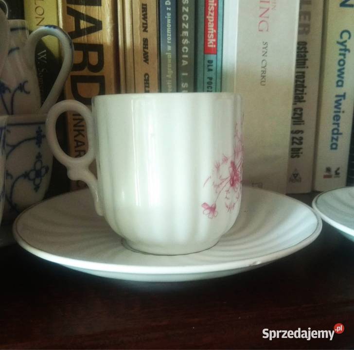 Filiżanka Carl Tielsch Altwasser Porcelana i szkło