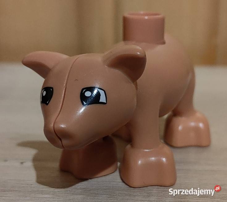 Świnka Lego Duplo pig03pb01 Warszawa