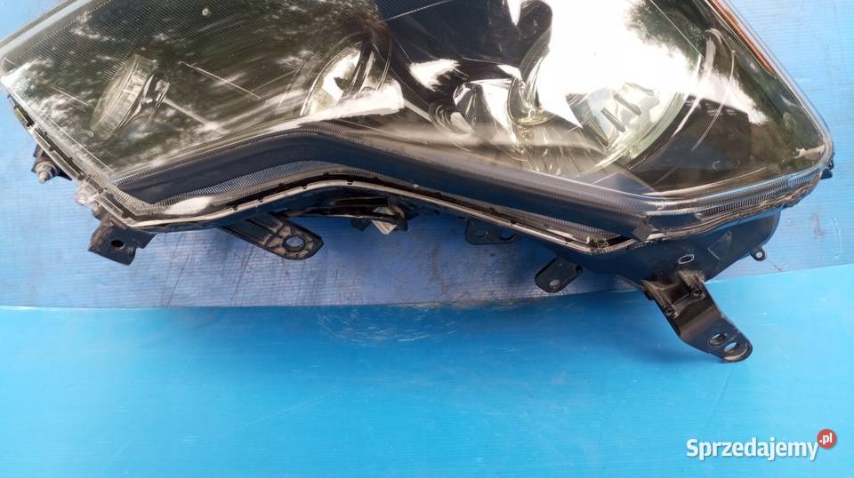 LAMPA REFLEKTOR PRAWY PRZÓD INFINITI M35 M45 Nowy Tomyśl