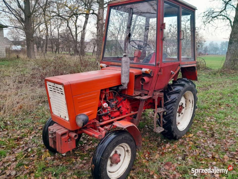 Wladimirec T25 Radzyń Podlaski