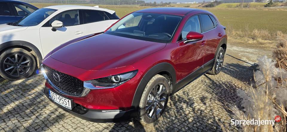 Mazda CX30 20MHybrid 186 Automatic ExklusivLine kamera cofania sprzedam