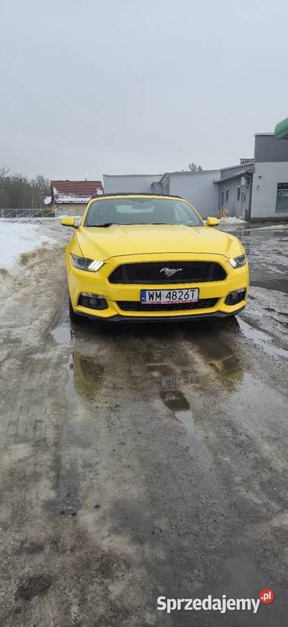 Ford Mustang VI 23 ecoboost poduszka powietrzna Mustang Mrozy