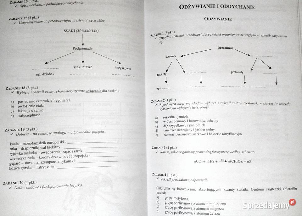 Testy maturalne biologia Andrzej Bajus Chełm