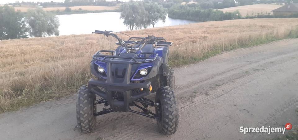 Quad 250 250cm3 Motoryzacja Goryń