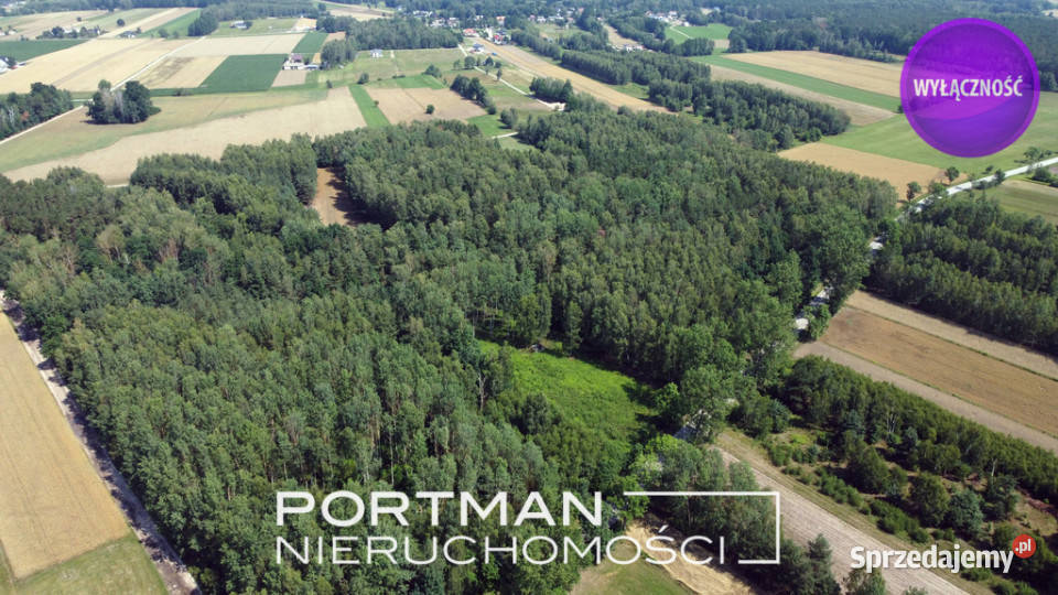 Działka w Dobrzyńcu 15 200 m2 budowlana Sprzedaż Dobrzyniec sprzedam