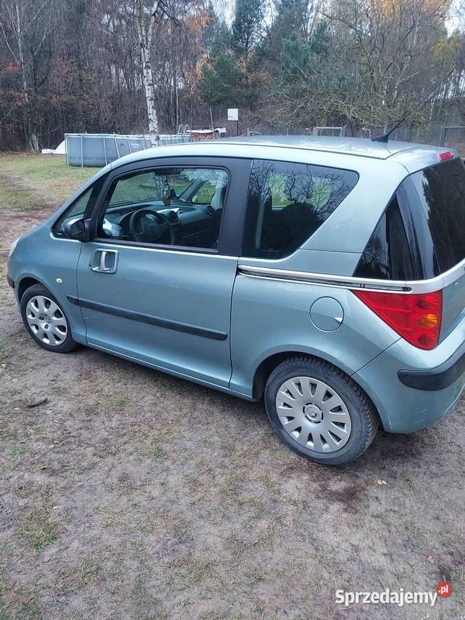 Peugeot 1007 2006 manualna Gostynin
