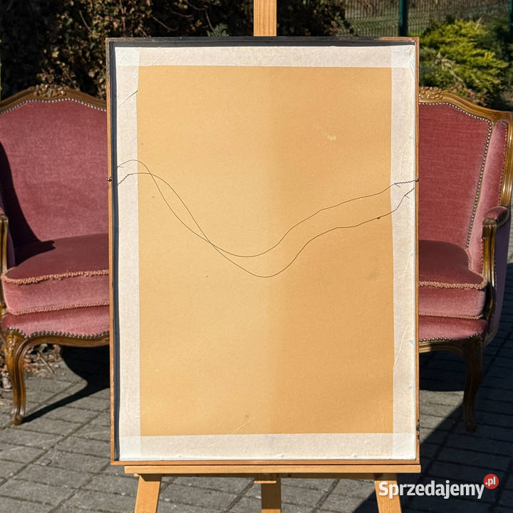 ARTexpert ARTexpert Walter Svanberg litografia Dobrzany sprzedam