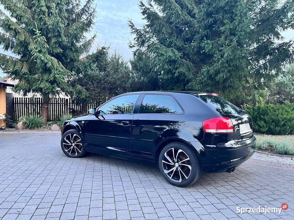 Audi a3 8p Rokitno