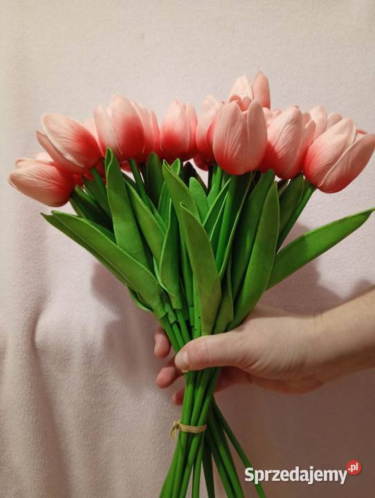 Tulipany Radom sprzedam