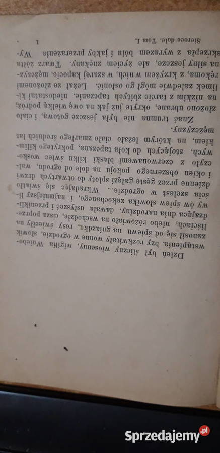 Sieroce Dole T13Kraszewski Warszawa 1886 wyd2 Iwno