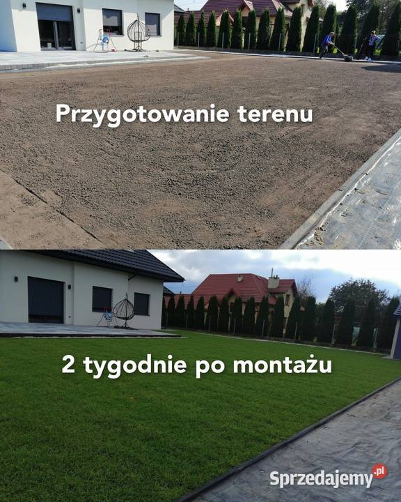 Zakładanie Trawników Formowanie Krzewów Cięcie Dąbrowa Tarnowska