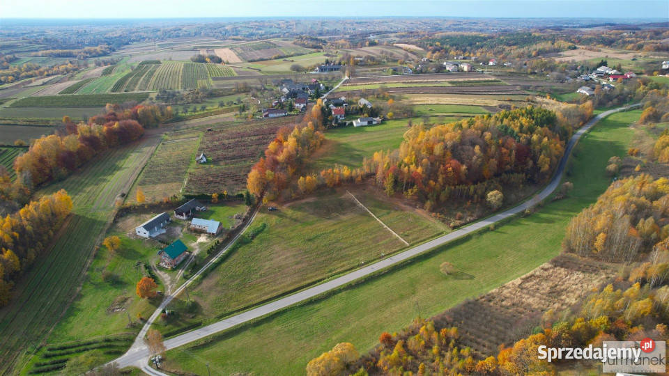 Działka 4182m2 TeodorówkaKolonia Sprzedaż