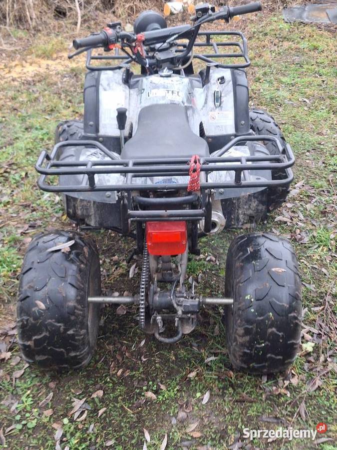 Sprzedam quada zipp 125 31