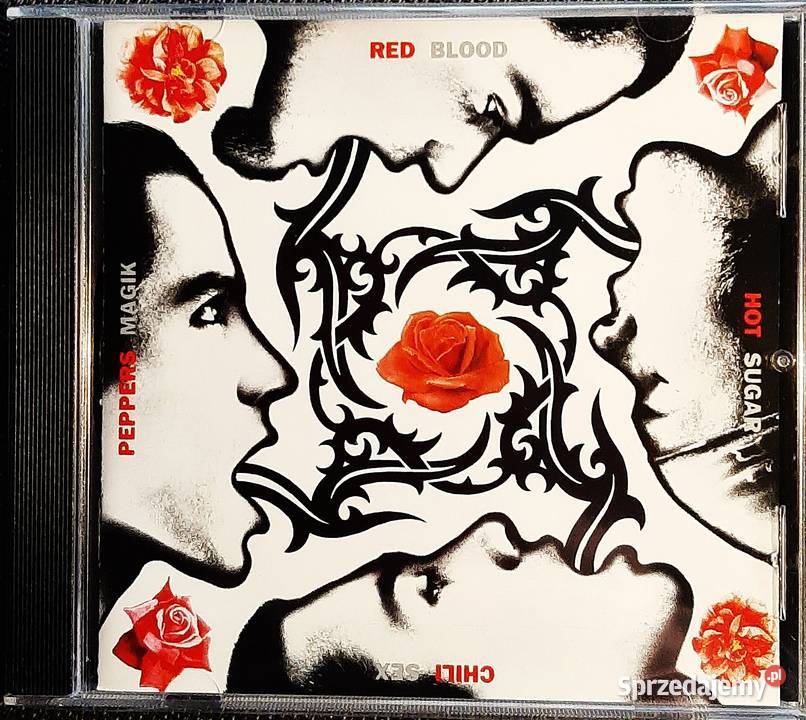 Album CD ONE REPUBLIC Album Dreaming Out Loud l Płyty i kasety Toruń