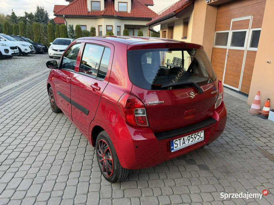 Suzuki Celerio Rezerwacja śląskie Orzech