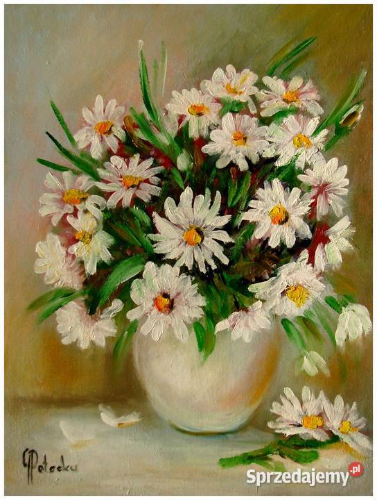 Rumianki obraz olejny 3040 dostępny mazowieckie Radom sprzedam